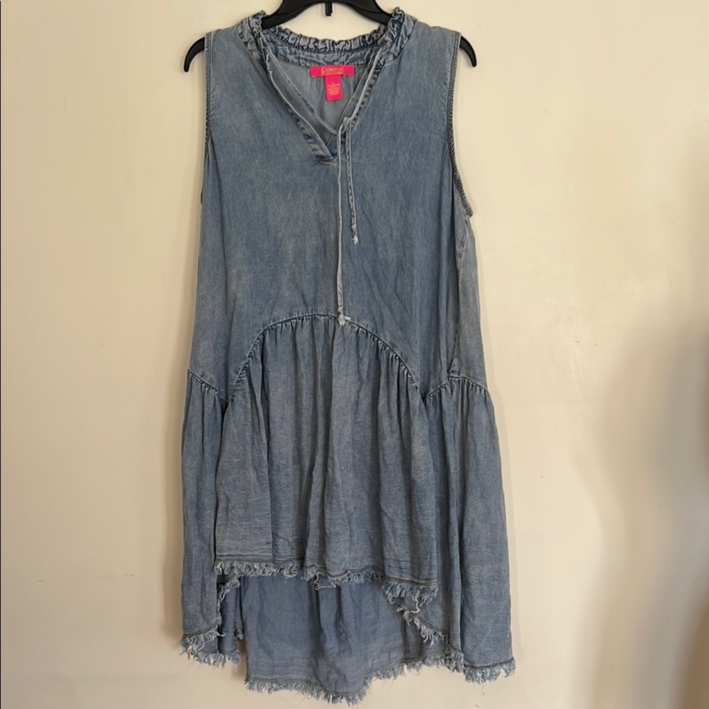 Catherine Malandrino Blue Jean like Smocked Ruffled Dress - Picture 10 of 11